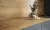 Коллекция Woodlux дуб галифакс золотистый, мебельный фасад woodlux